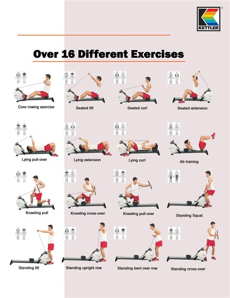 rowing machine exercise chart